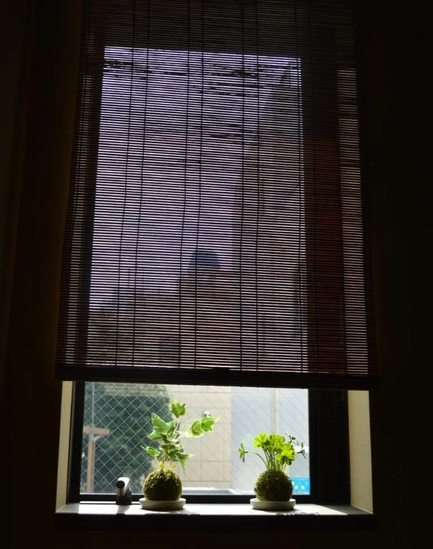 Tokyo Guesthouse Wa Hostel